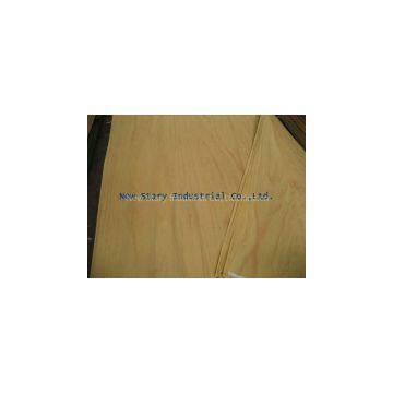 Supply Veneer photo-2