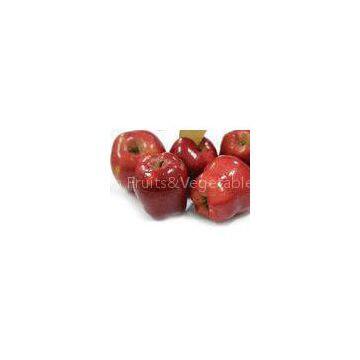 Delicious Sweet Red Apple With 18 KG - 72 , 80 , 96 , 112 Pieces