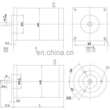 Customizable High Speed Low Torque 12V 3000RPM Micro Brushed DC Electric Motor BMM362M3