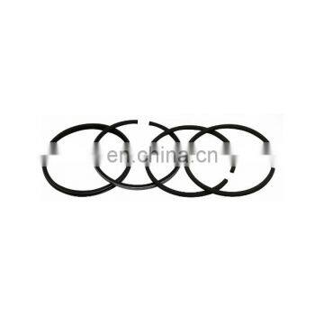 FAYN R175 Small Engine Piston Ring