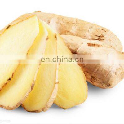 Good food grade ginger frozen ginger with cheap price