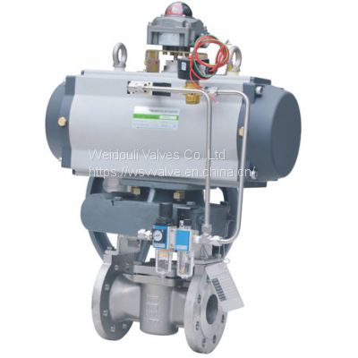 Control Plug Valves