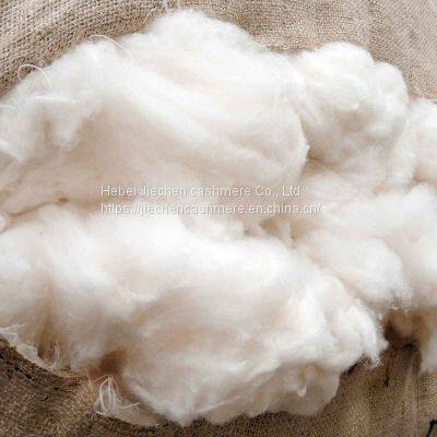 Hot sale white carded lamb wool mercerized and degreased for filling material with 18 micron