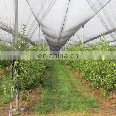 High quality white plastic anti hail net for apple tree