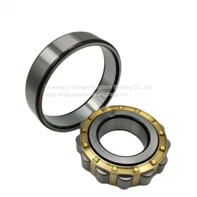 Cylindrical Roller Bearings NU/NJ/NUP/N/NF208 N209EM N210EM N211EM N212EM N213EM N214EM N215EM N216EM N217EM