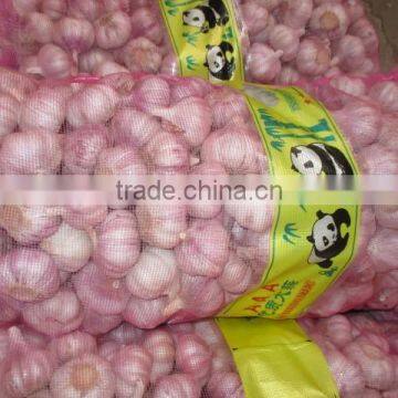 2016 year garlic for export,fresh garlic, chinese garlic