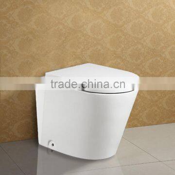 European Style Wash Down P Trap Wall Hung Toilet AT015A photo-3