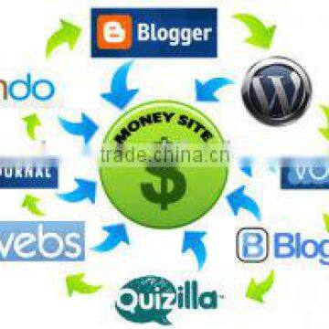 Internet website promotion, internet marketing service