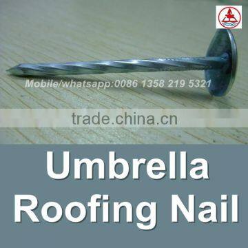 china 1 Lb. Electro Galvanized umbrella head roofing nails