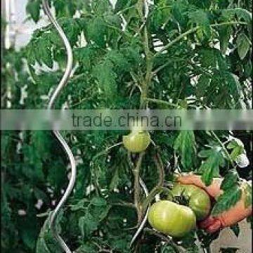 tomato plant spiral support stakes