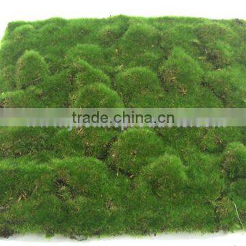 100cm Artificial Moss Carpet, Decorative Wall Carpet, Artificial Silk Carpets, High Quality