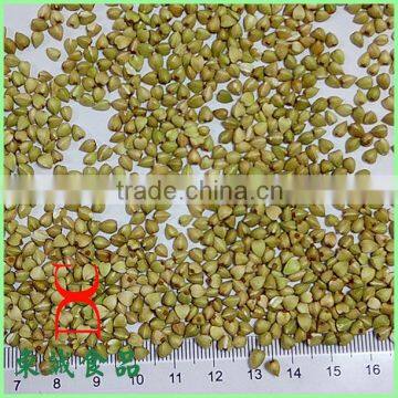 hot sale raw Buckwheat kernels