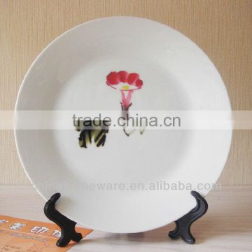 10' china plate