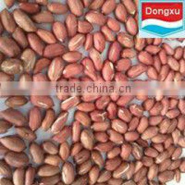 red skin peanuts