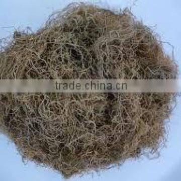 DRIED GRACILARIA RAW/POWDER - COMPETITIVE PRICE AND HIGH QUALITY