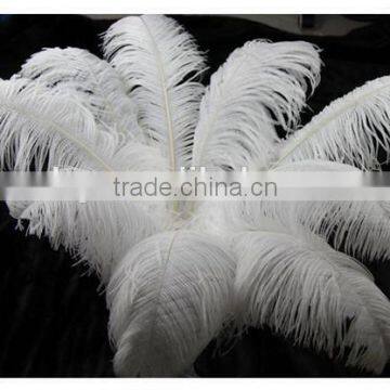 Boardwalk Professional Ostrich Feather Duster