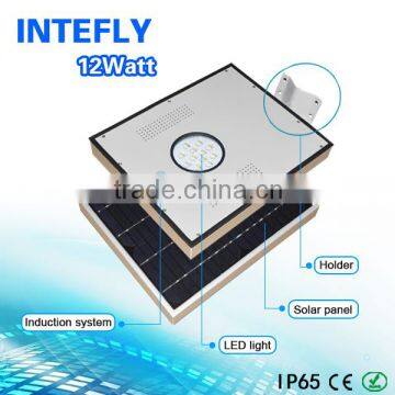 12w All in One Solar Light Garden With PIR Motion Sensor Supplier's Choice