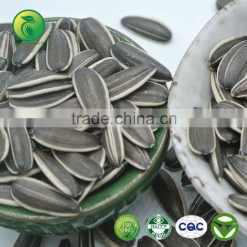 Wholesale Raw Sunflower Seeds 5009 From Chinese Sunflower Seeds