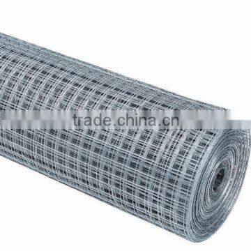 anping manufacturer exports Galvanized Welded wire Mesh