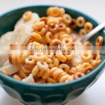 High Quality Breakfast Flavoring Machine/Breakfast Flavoring Machine/Corn Flakes Flavouring Machine photo-3