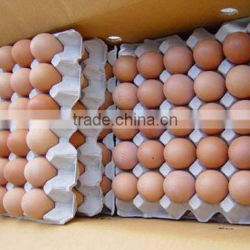 Fresh Brown Eggs