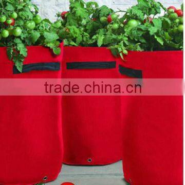 PE Design Gerden Vegetable Potato Grow Bag photo-2