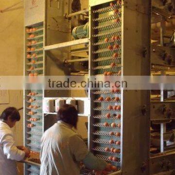 Chinese Bird Cage for Sale