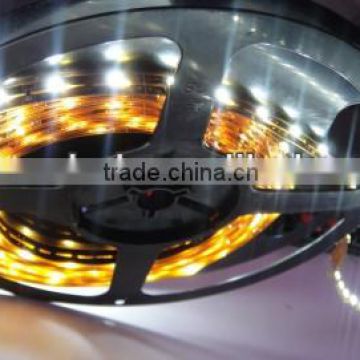 12v 5m 60led outdoor led strip light, china supplier