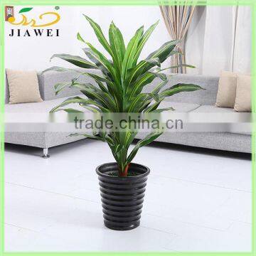 make decorative plastic/artificial Dracaena plants