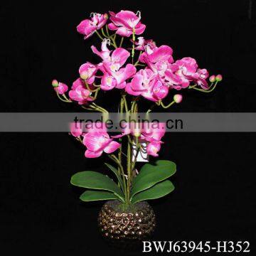 China Wholesale Artificial Phalaenopsis Orchid For Sale