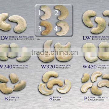 CASHEW KERNEL WW320 photo-5