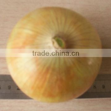 2014 new crop fresh onion with good quality and competitive price