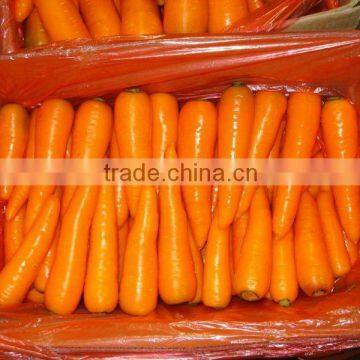 Fresh Baby Carrot/farm Fresh Carrot