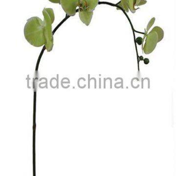 pu baby Silk Phalaenopsis Orchid ,Imitation Flower ,Phalaenopsis hybrid