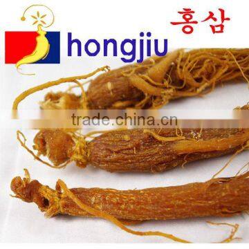 Panax Ginseng