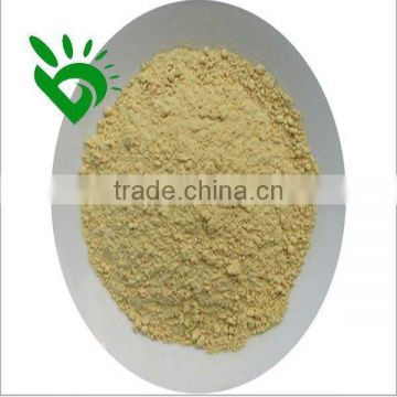 Chinese Dehydrated Ginger Powder