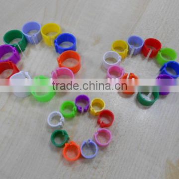 Colourful Plastic Poultry Chicken Chick Leg Ring