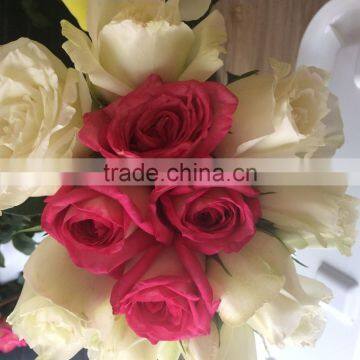 Supply Fragrant fresh rose fresh cut flower wedding rose flower