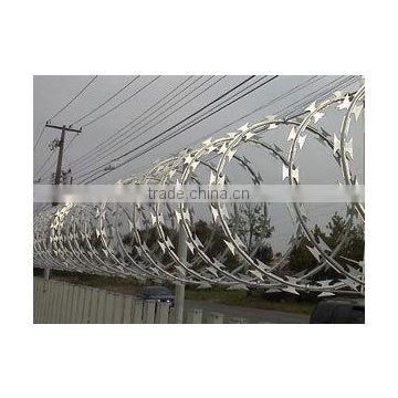 galvanized razor barbed wire