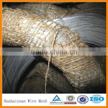 Very shining electro galvanized iron wire