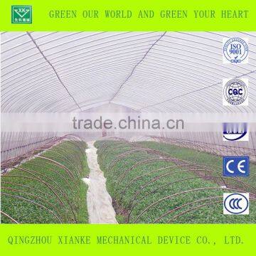 Seeding Greenhouse for Agriculture photo-3