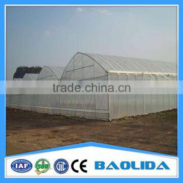 Tunnel Greenhouse for Flowers photo-5