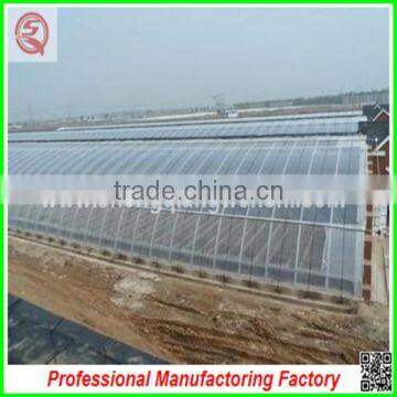 Double Layer High Tunnel Plastic Film Greenhouses for Flower/vegetable Growing photo-5