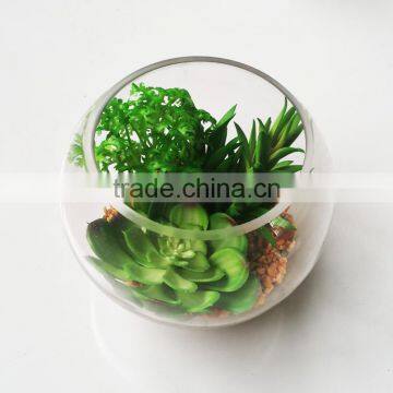 wholesale ornamental plants small plastic succulent plant bonsai