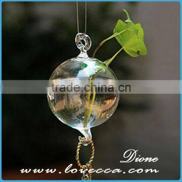 High quality Air plants handblown glass globe hanging terrarium