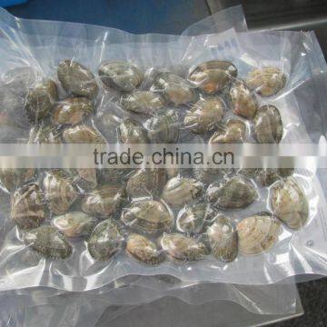 Cooked V-packed Baby Clam photo-3
