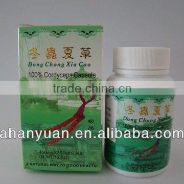 Cordyceps capsules