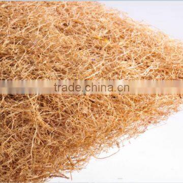 Palm Fiber Mat
