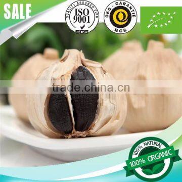 Supply l Black Garlic 100% Natural photo-2
