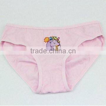 Girls' Underwear Girls Preteen Underwear Girls Brief photo-2